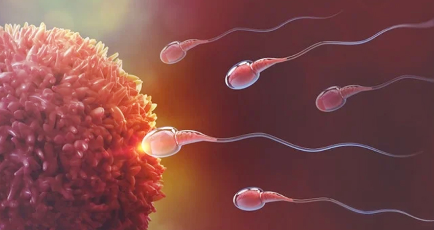 KHM Fertility